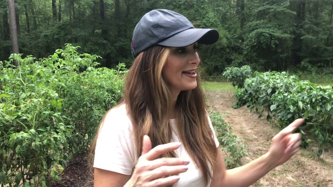Stacy Lyn Harris Garden Tour&mdash;Ready for Summer Harvest!