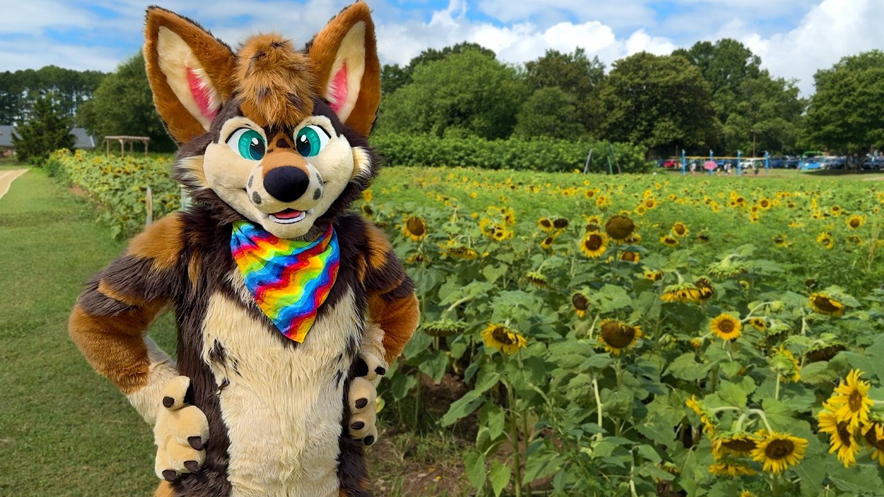 Furry Photoshoot • 7.13.24