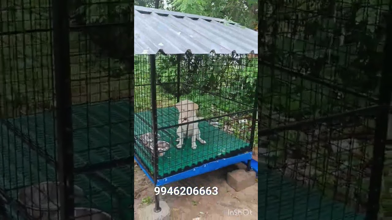 HI-TECH DOG CAGE MAKING 