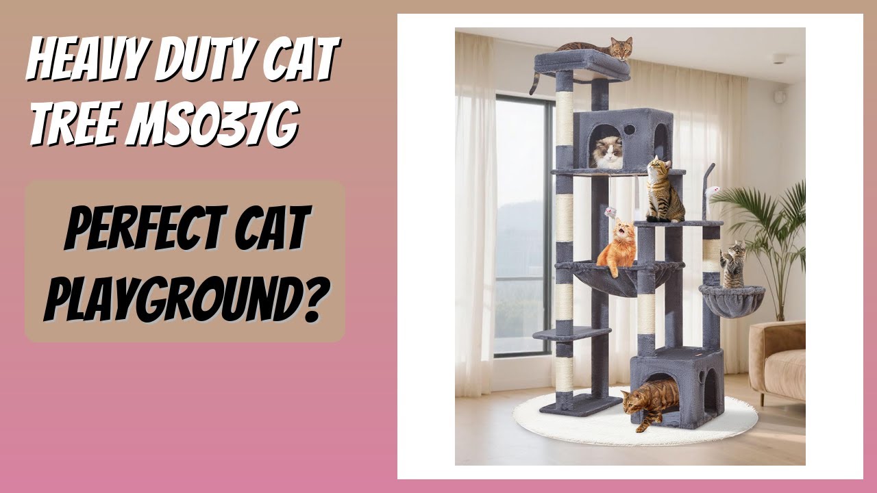 REVIEW (2026): Heavy Duty Cat Tree MS037G. Features
