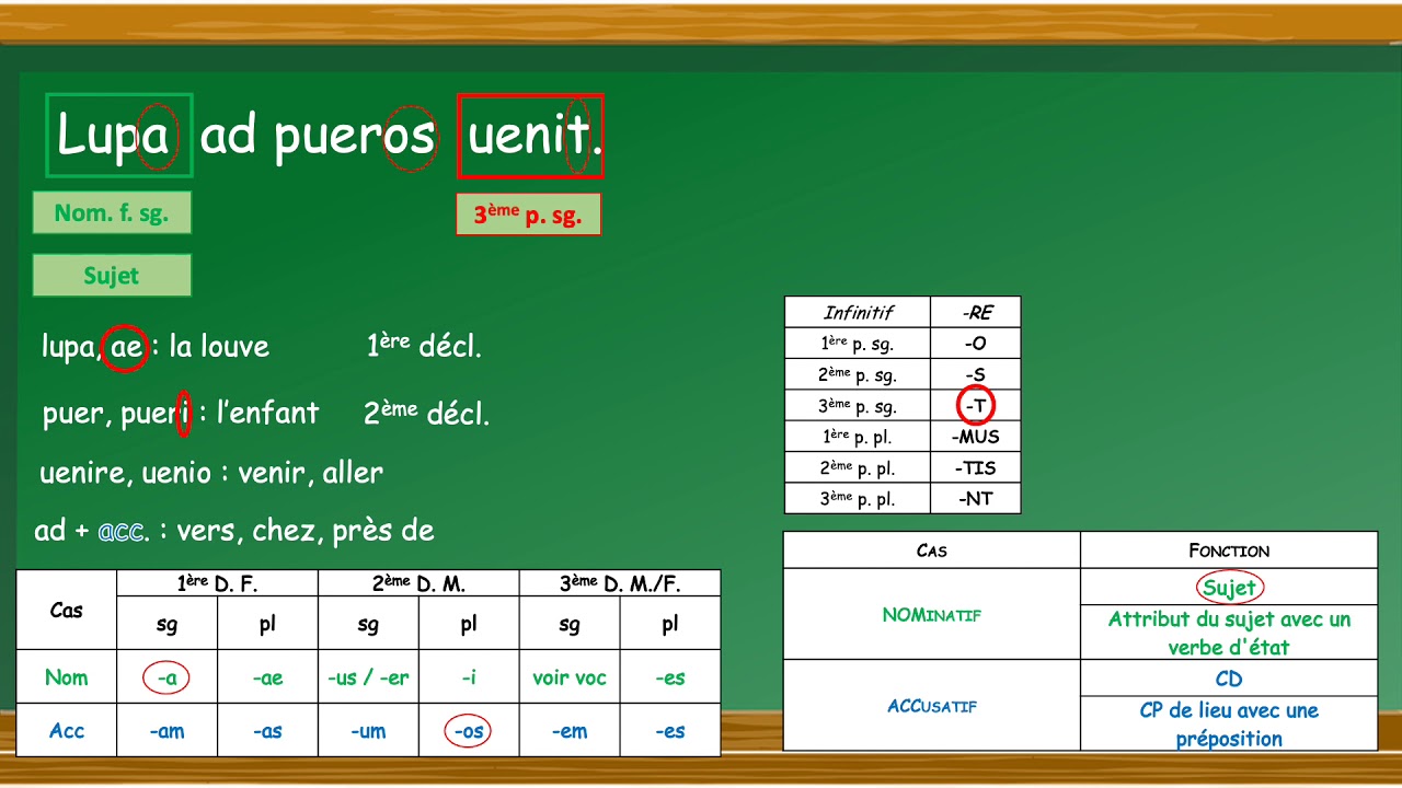 LATIN 1   Comment traduire une phrase simple : nominatif et accusatif