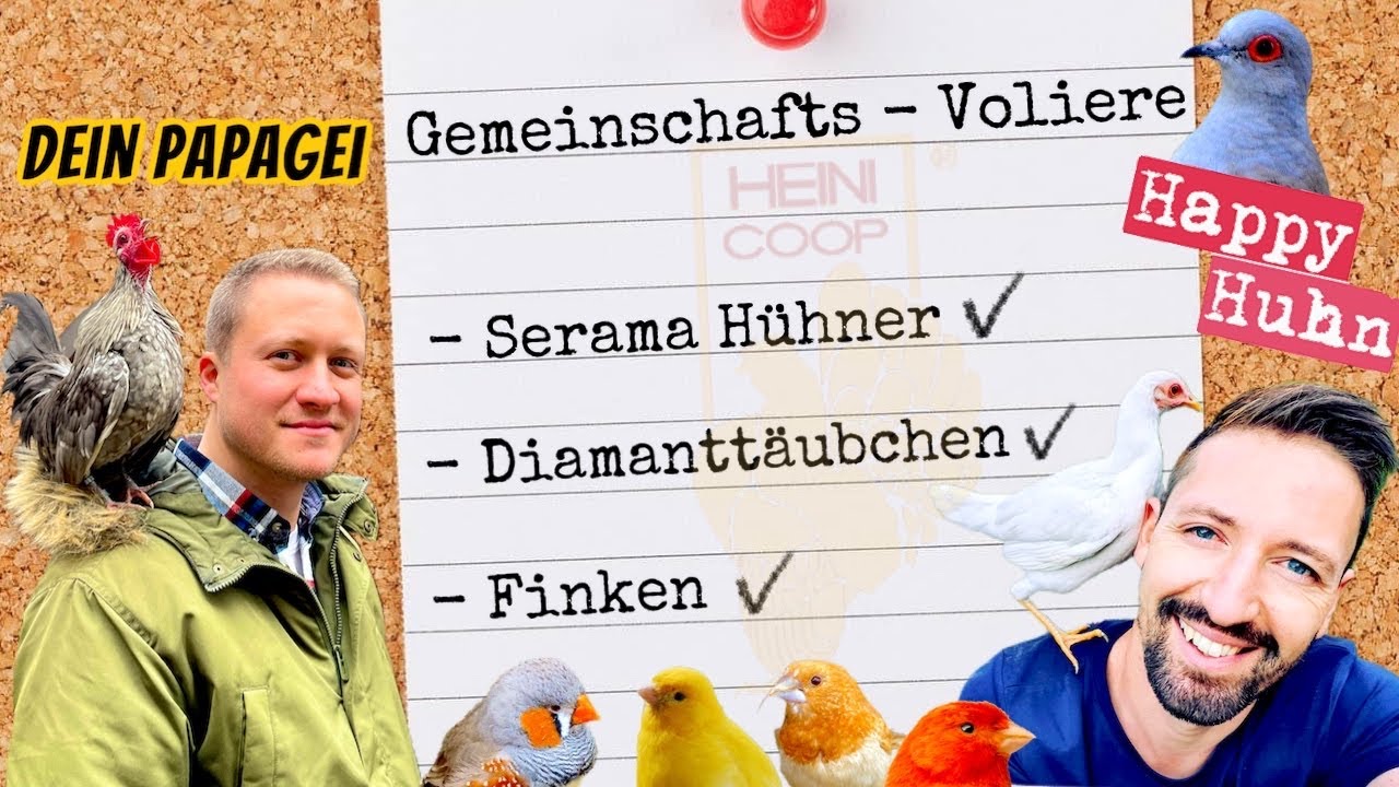 Dein Papagei feat. HAPPY HUHN - Gemeinschaftsvoliere mit Serama & Ziervögel ~ Heini Coop