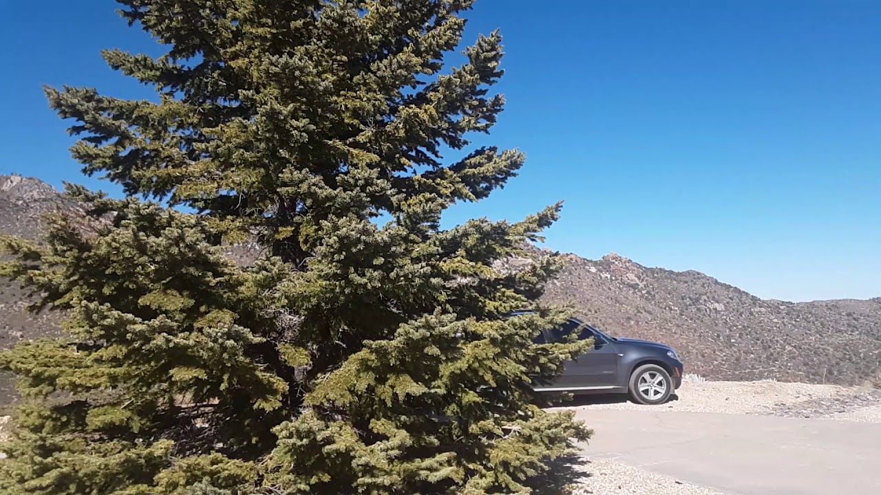 Cabin at the top of Hualapai Mountain