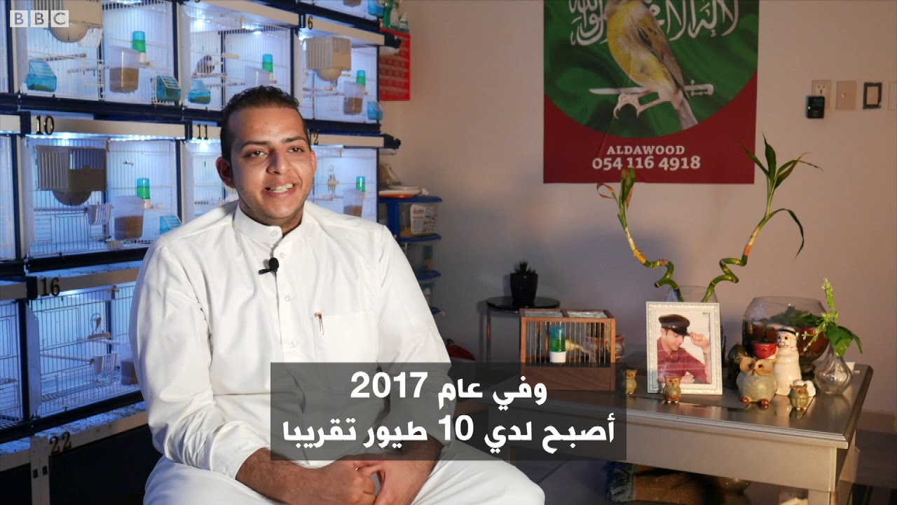 أنا الشاهد: تربية طيور الكناري في السعودية