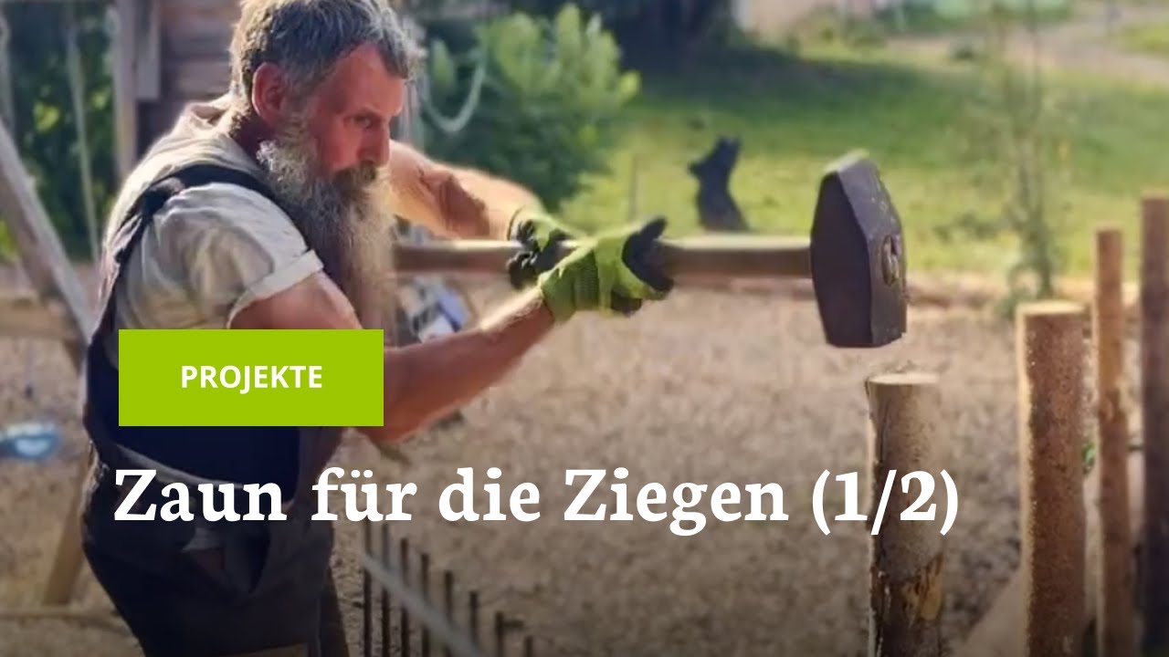 Ein neuer Zaun f&uuml;r das Ziegengehege (1/2)