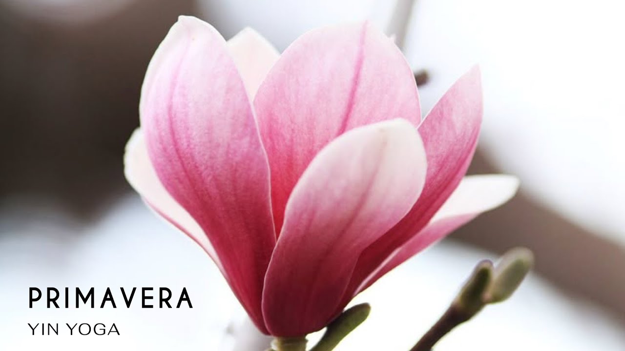 Yin Yoga -  Primavera