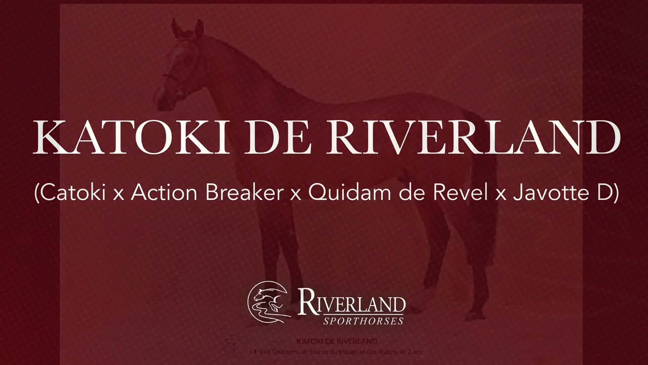 KATOKI DE RIVERLAND - RIVERLAND STALLIONS 2026