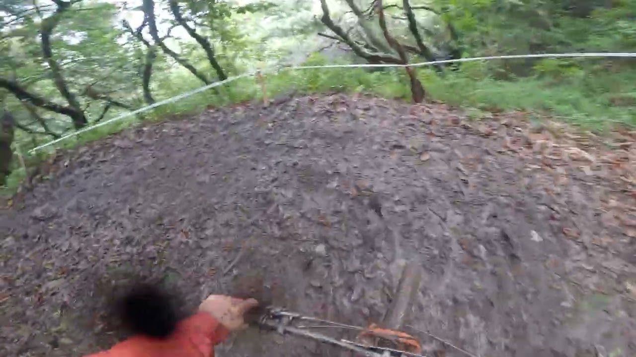 Trans Madeira Autumn 2025 - Stage 11 - PORTO DA CRUZ
