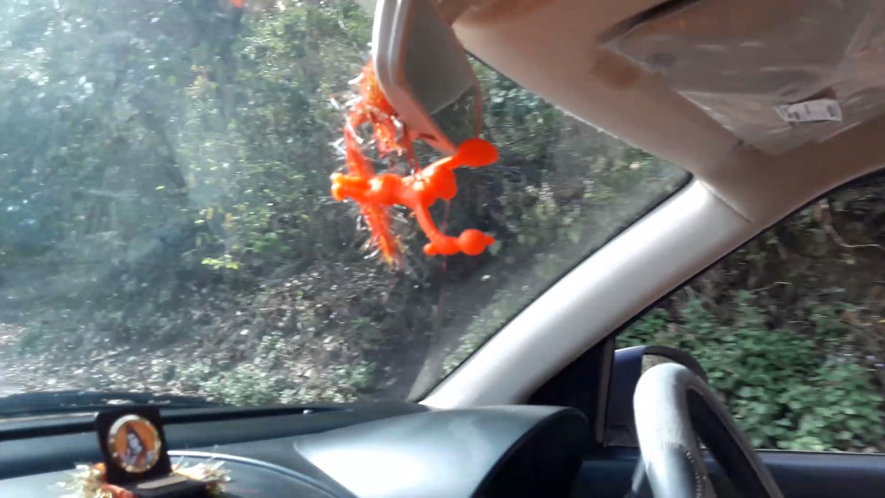 Rishikesh to neelkanth mahadev temple road