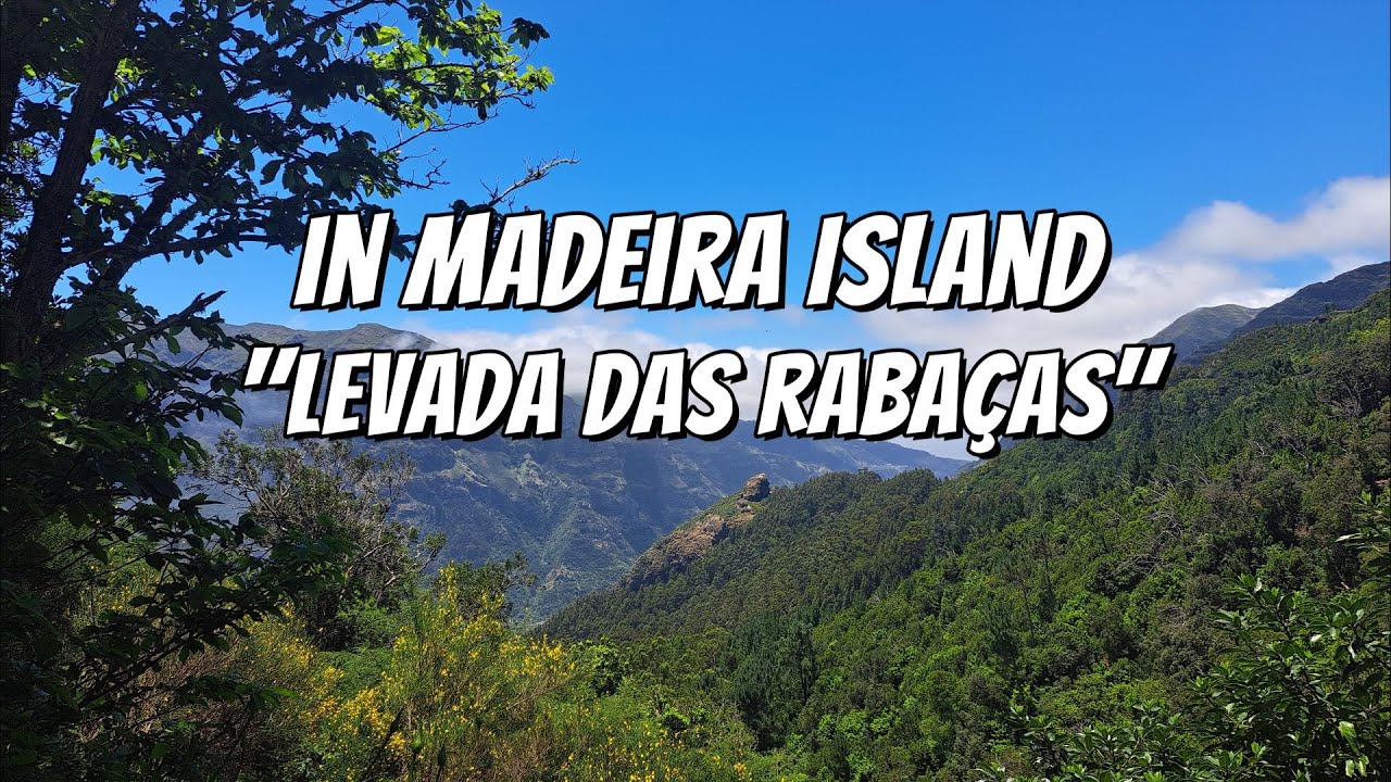Levada das Rabaças - IN MADEIRA ISLAND (16/04/2024)