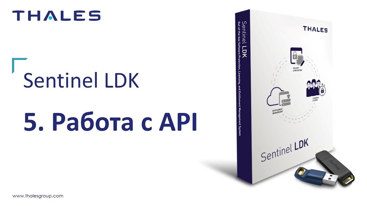 Руководство Sentinel LDK: 5. Работа с API