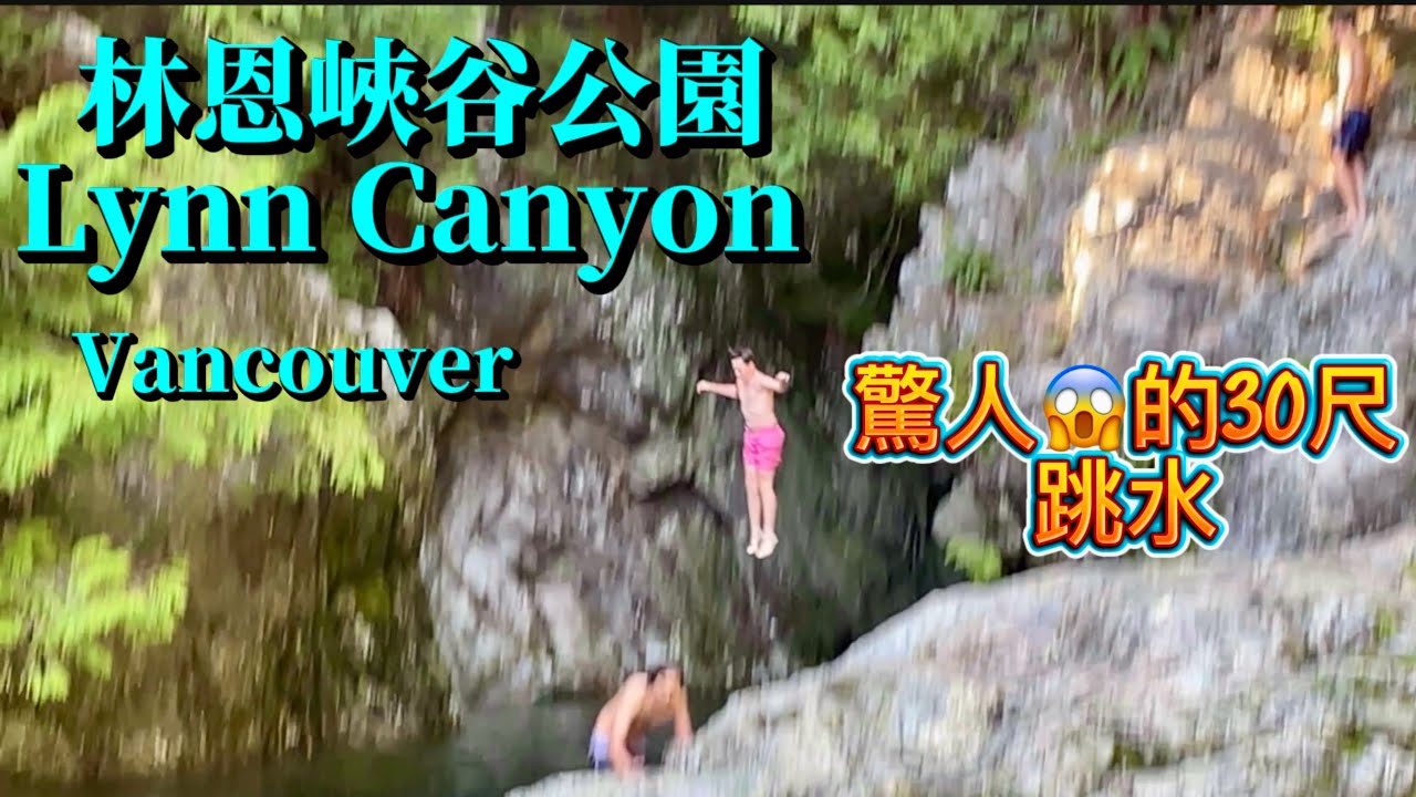  【溫哥華必去】不用去卡皮拉諾Capilano！免費的「林恩峽谷公園Lynn Canyon Vancouver驚人😱的30尺的跳水」懸吊橋、森林浴、絕美溪谷《🐷🐔Susan阿嬤旅遊生活-321》