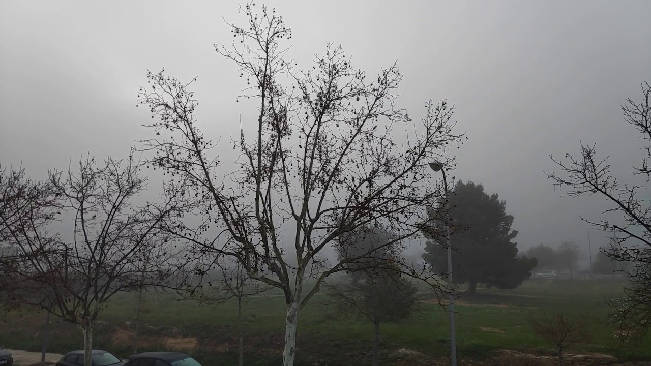 Crónicas Meteorológicas 1x03: Agua, viento y niebla