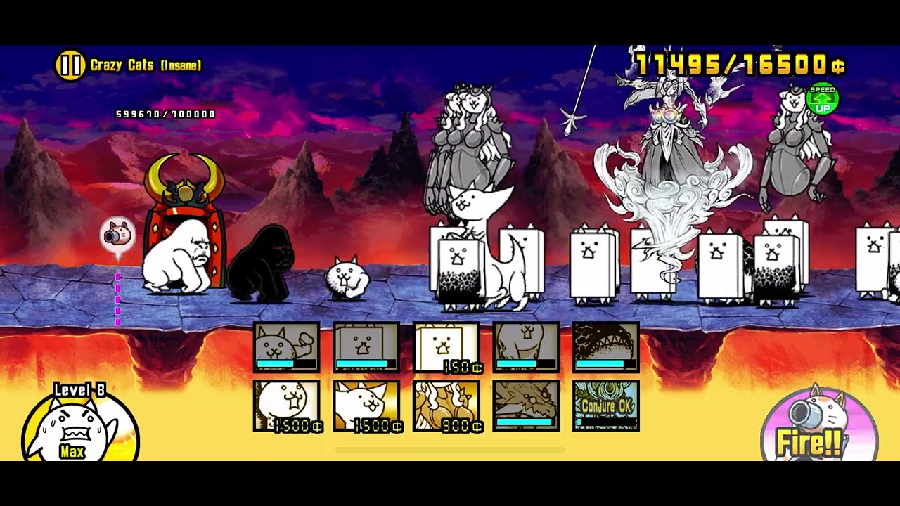 THE FINAL CRAZED CAT!