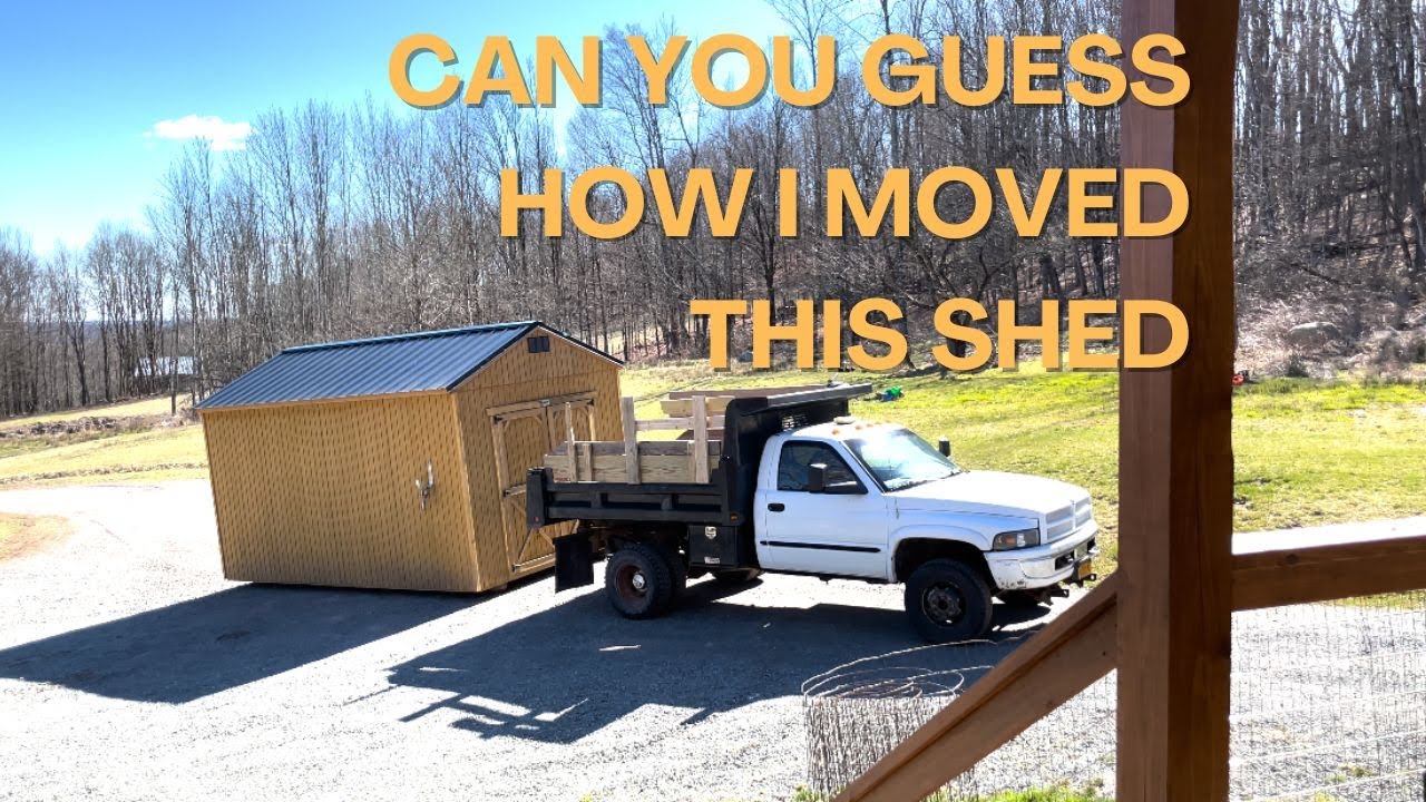 Moving Our Shed