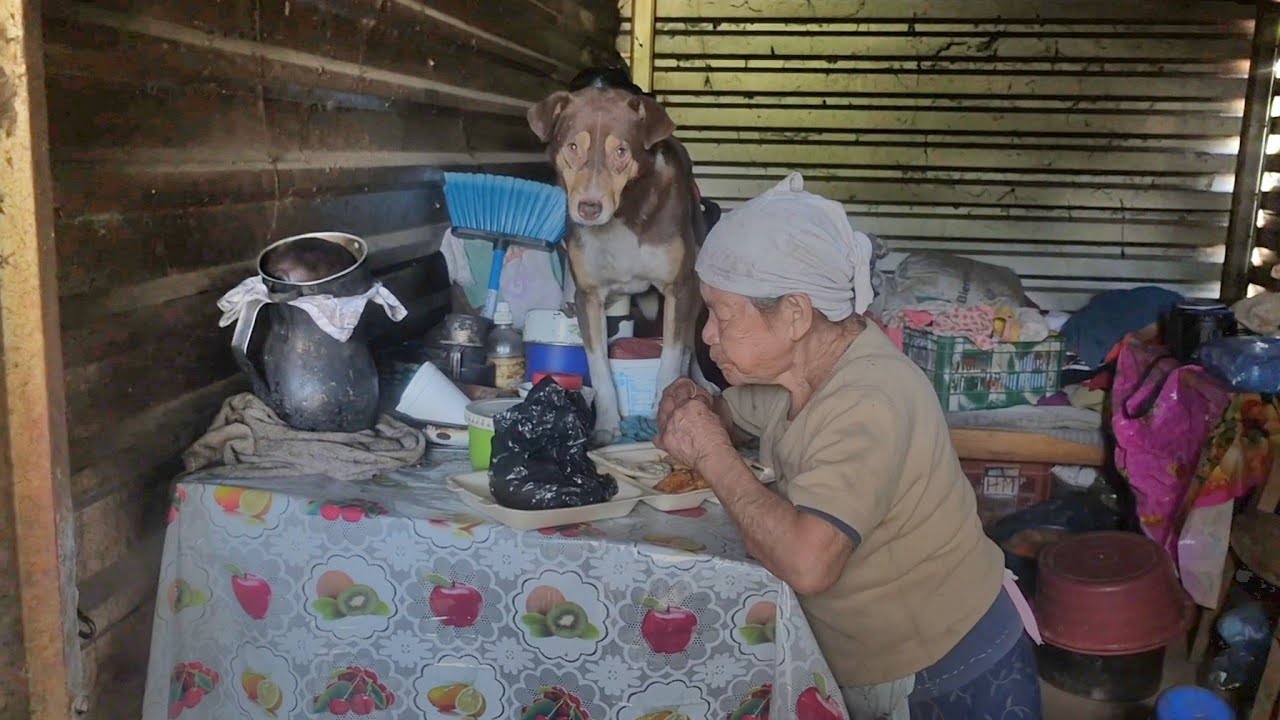 🛑Vean Este Perrito Nunca Deja Sola a Esta Abuelita!!!