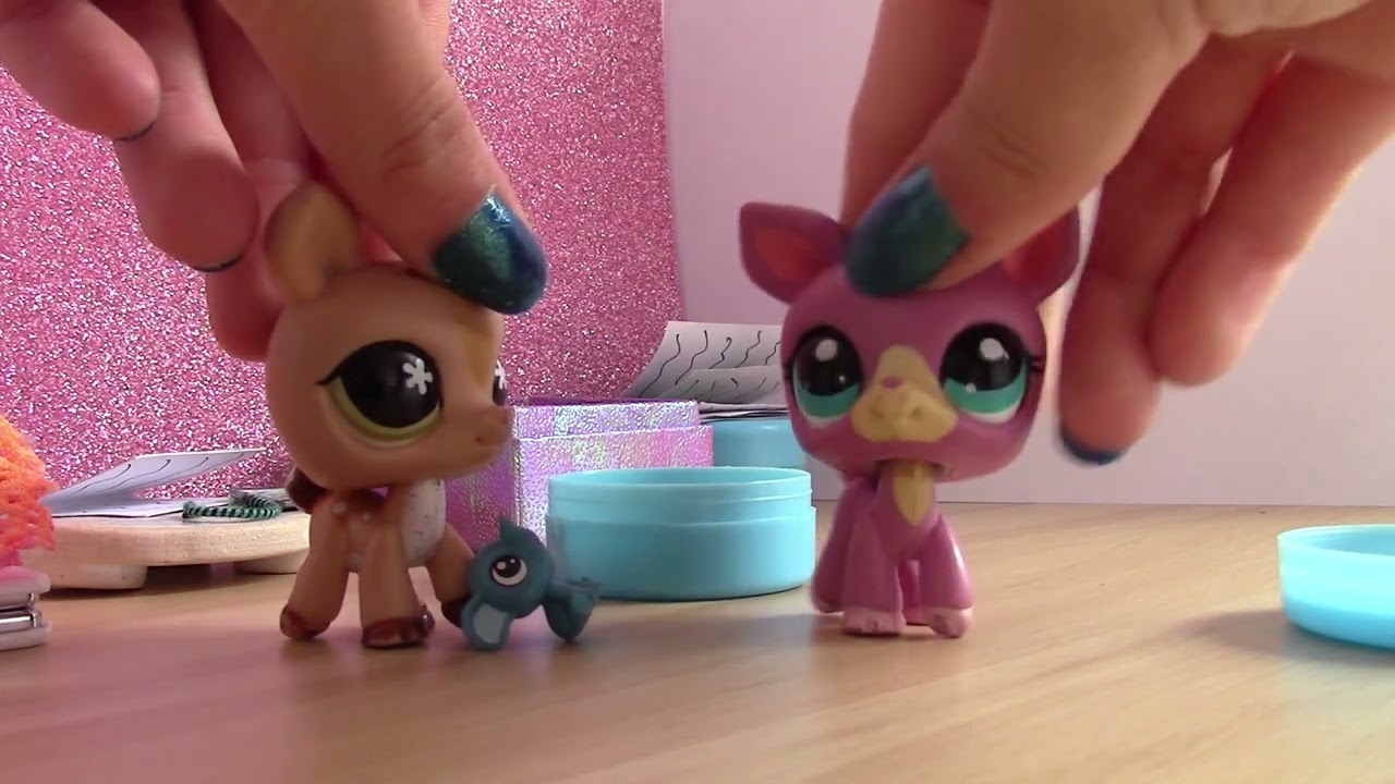 LPS - Beltinne a Kate