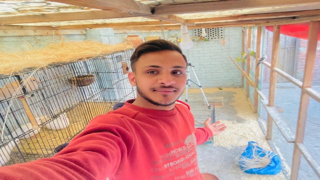 Mashallah Kitna Pyara Cage