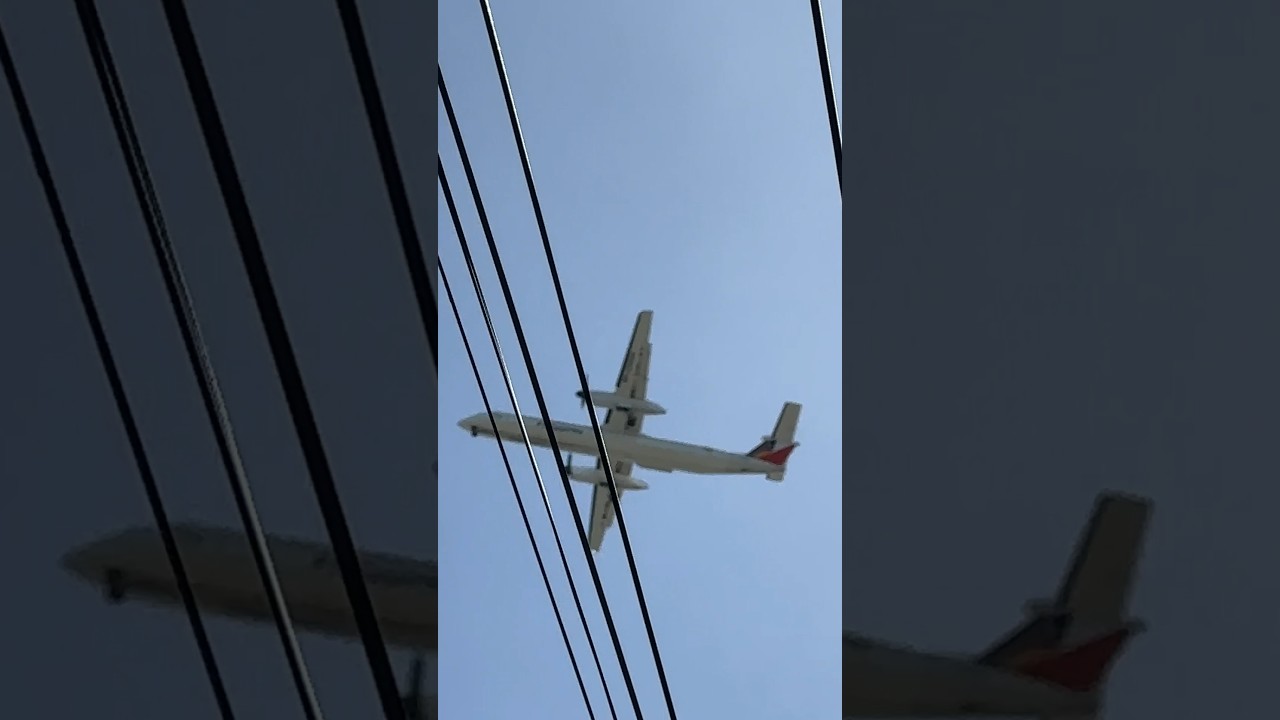 Heads up. Its a sunny day Pal Express Arrival