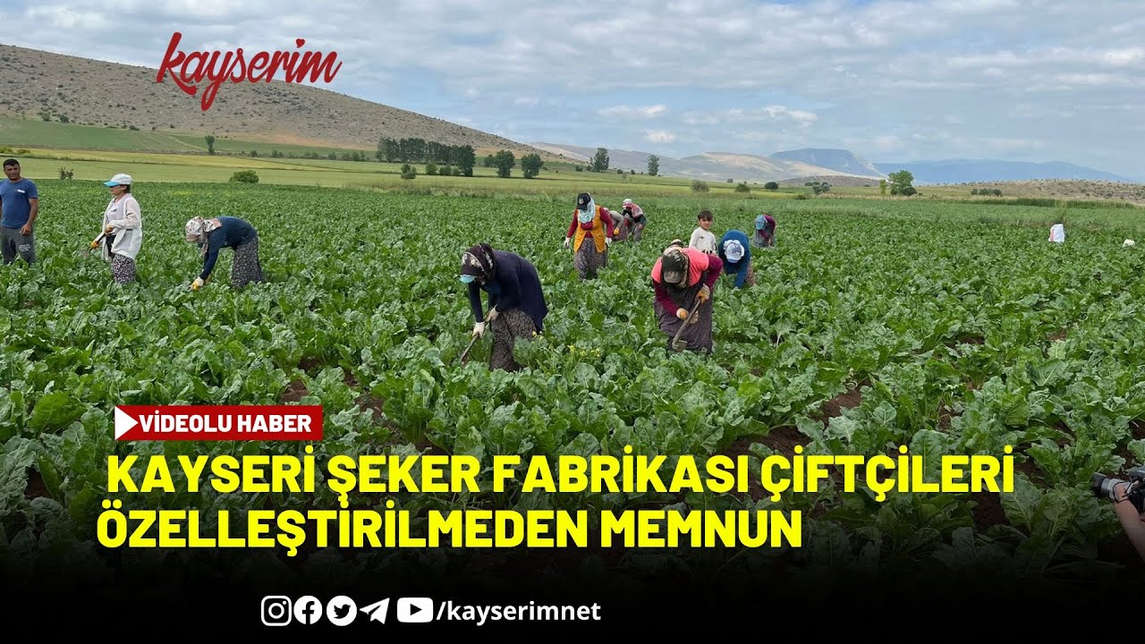 Kayseri Şeker Fabrikası çiftçileri özelleştirilmeden memnun