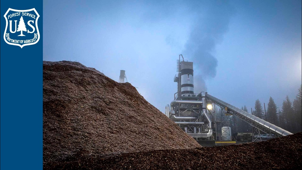 Forest Power - Woodchips to Electricity