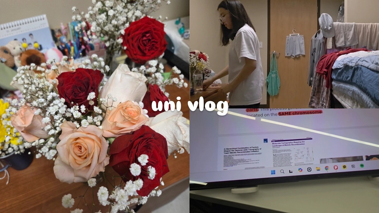[vlog] boring video, short clips of life, Frieren, flowers, studying, cleaning, daily life