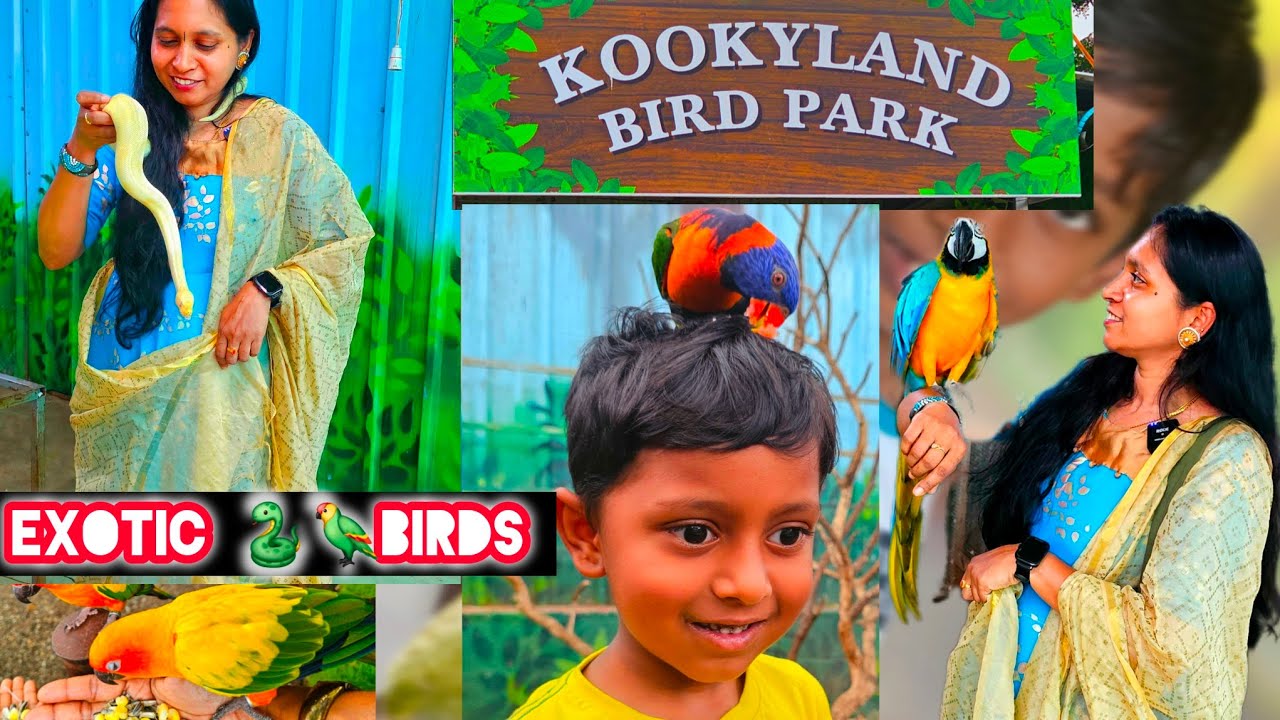 Exotic bird park 🦜🐍🦜🦜| kookyland |mattupalayam coimbatore | கூக்கிலேண்ட் கோவை |ungaltholi