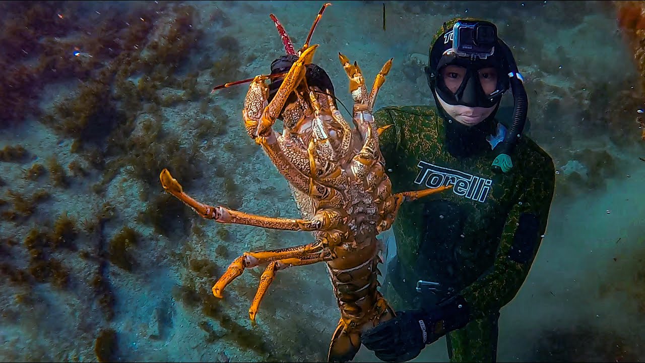 GRABBING A MONSTER 4KG LOBSTER!