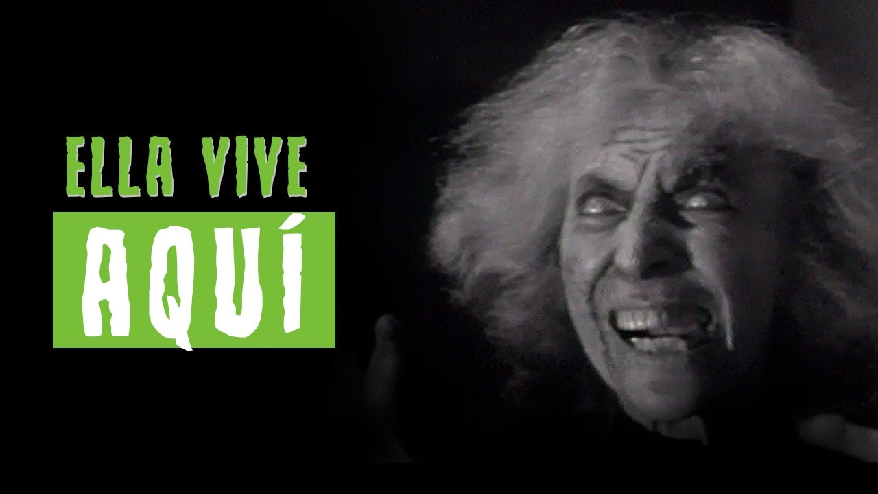 ELLA VIVE AQUÍ | Gritos en la noche