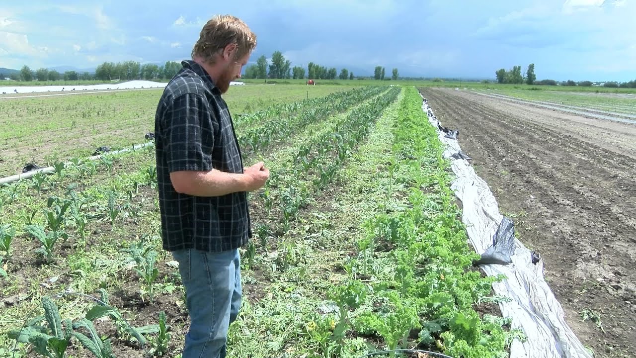 Local farm in Bozeman asks for help after storm