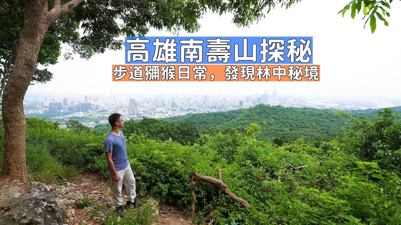 高雄南壽山探秘！沿途觀賞獼猴家族日常、俯瞰城市美景還發現拍照秘境