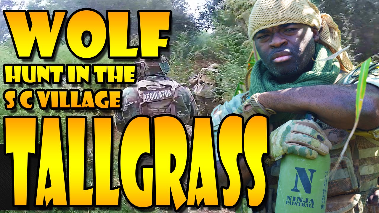 WOLF Hunts in the Tall Grass!