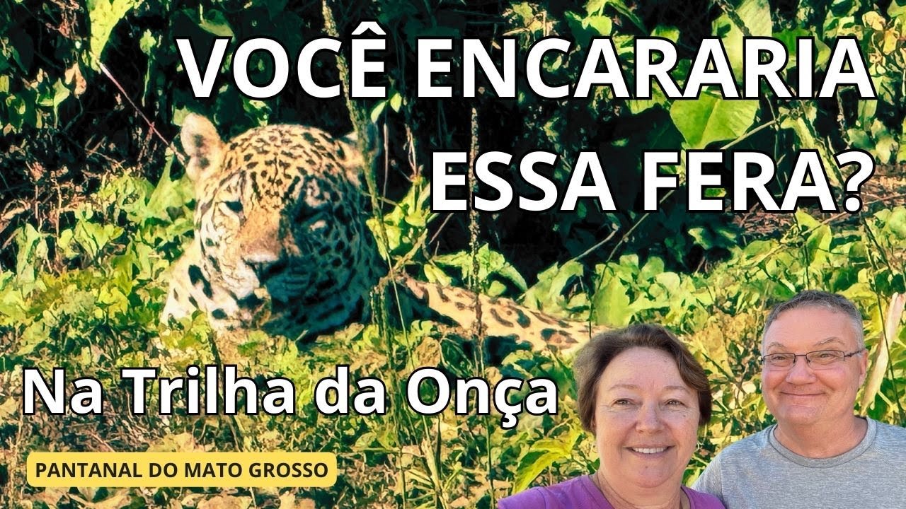 Ep.  8 -  Uma AVENTURA inesquecível no PANTANAL: encaramos a ONÇA frente a frente.