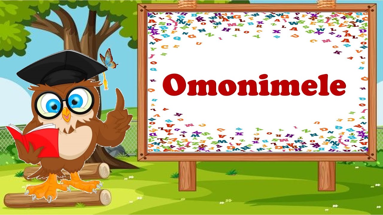 Omonimele - imagini si propozitii 🦋 scriu corect 📚pentru pitici 🦋