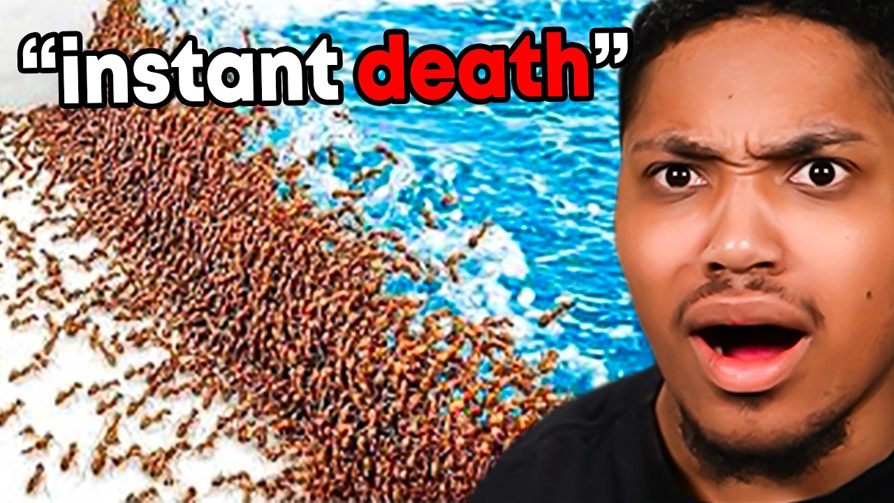 1,000 Ants vs. Natural Disasters😳