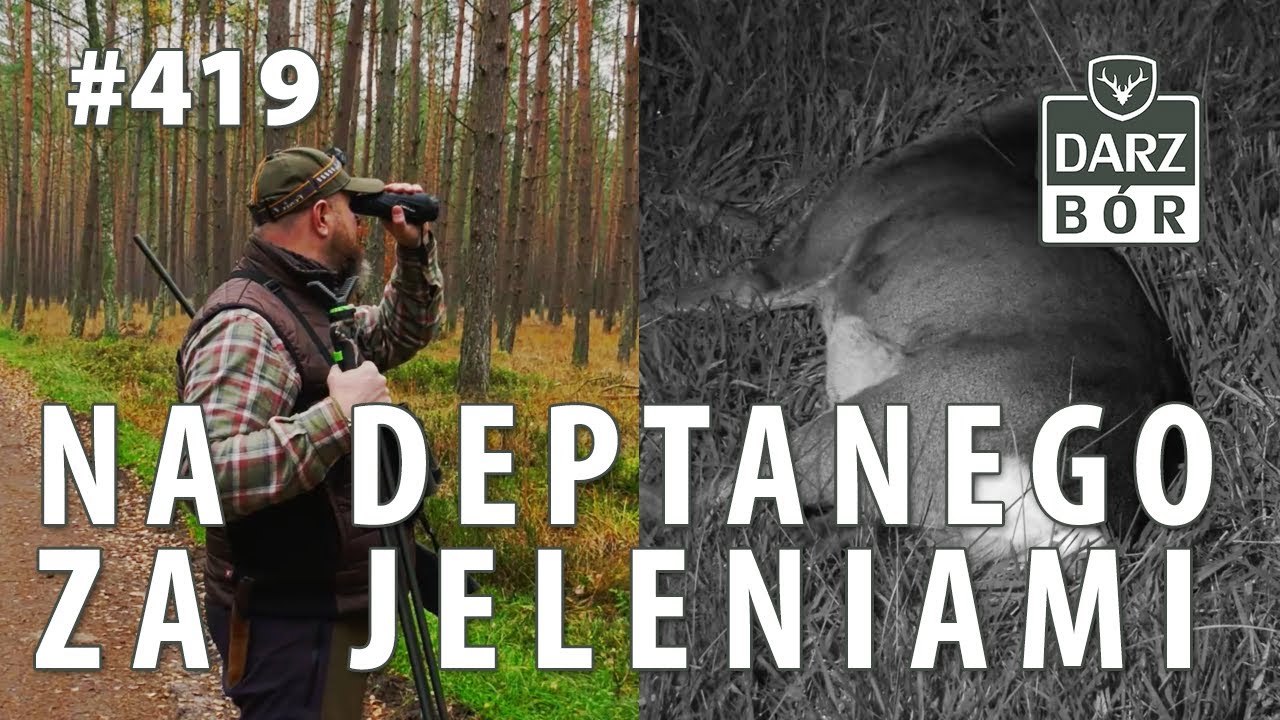 Darz Bór odc. 419 Na deptanego za Jeleniami.