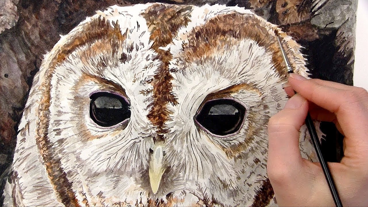 How to paint watercolor a realistic owl eye [step by step class]