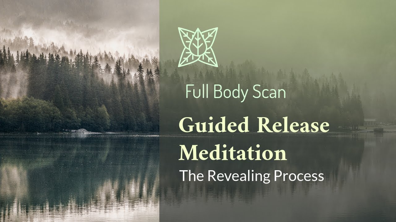 Full Body Scan Guided Release The Revealing Process