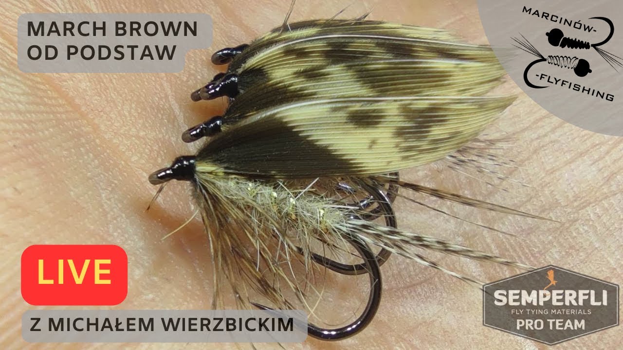 LIVE - poradnik wykonania March Brown'a