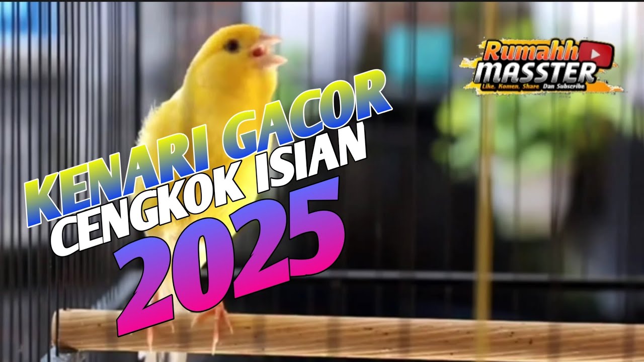 Kenari Gacor Cengkok isian VOL. 028