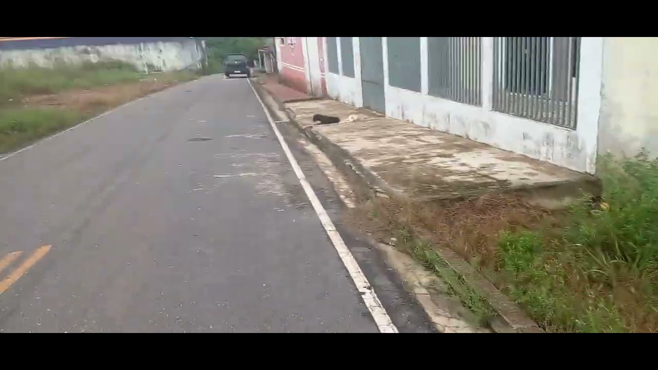 5 de março de 2026