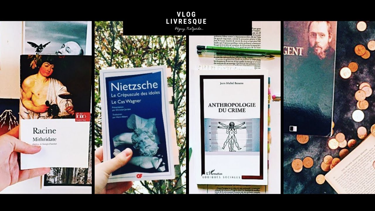 Une grosse d&eacute;ception et de belles d&eacute;couvertes (Vlog lecture #4)