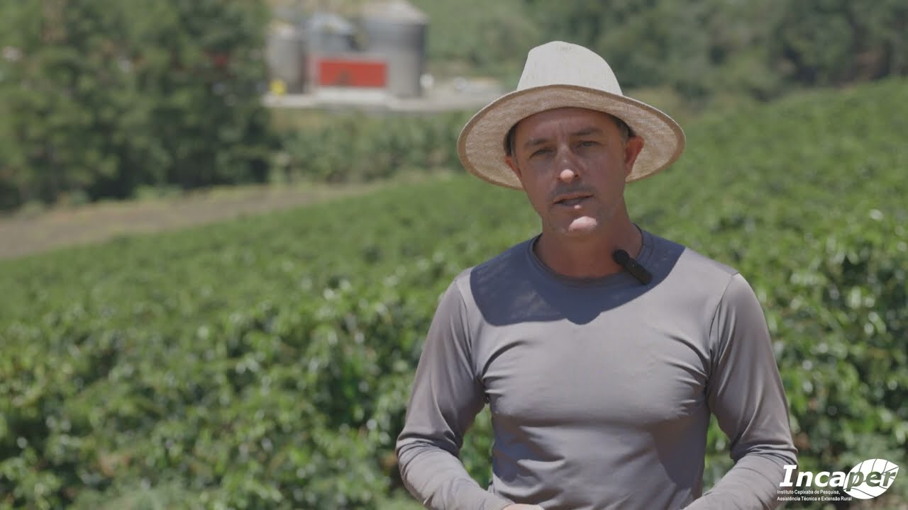 Depoimentos sobre a Indicação de Cultivares de Café Arábica para o ES