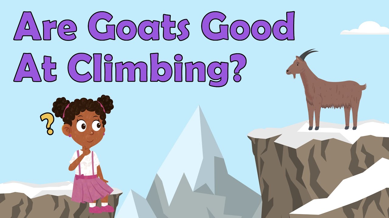 Are Goats Good At Climbing? | Goat Facts | Animal Facts For Kids | Goat Facts For Kids