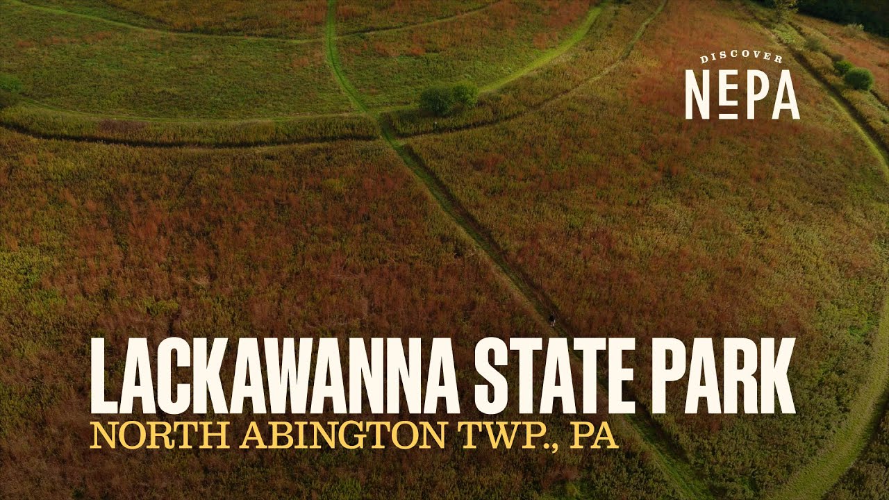 Lackawanna State Park | North Abington Twp., PA