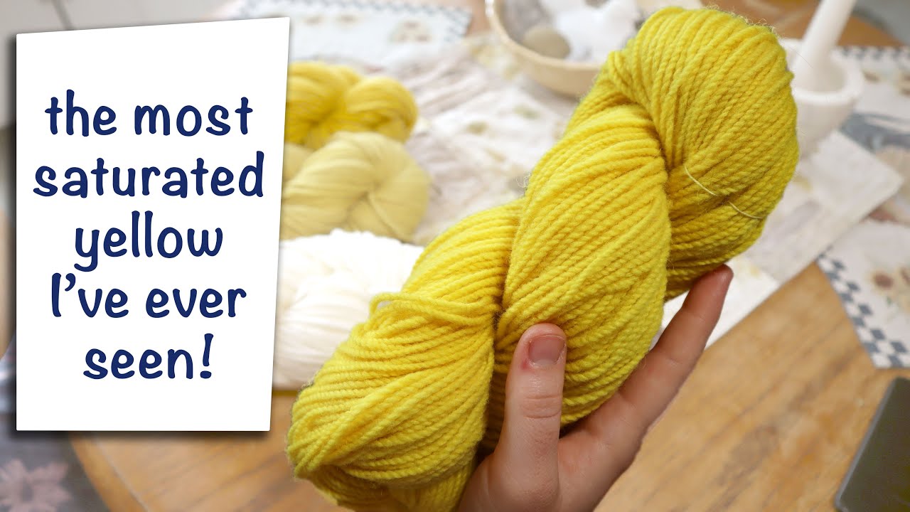 marigolds for natural dye - dyeing wool with flowers (scouring, premordanting, dyeing) | LML