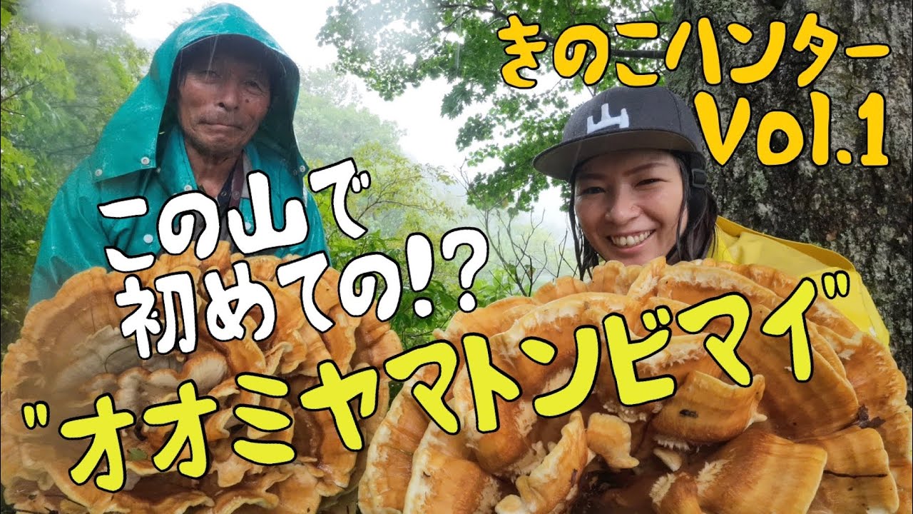きのこハンターVol.1 〜オオミヤマトンビマイに遭遇〜