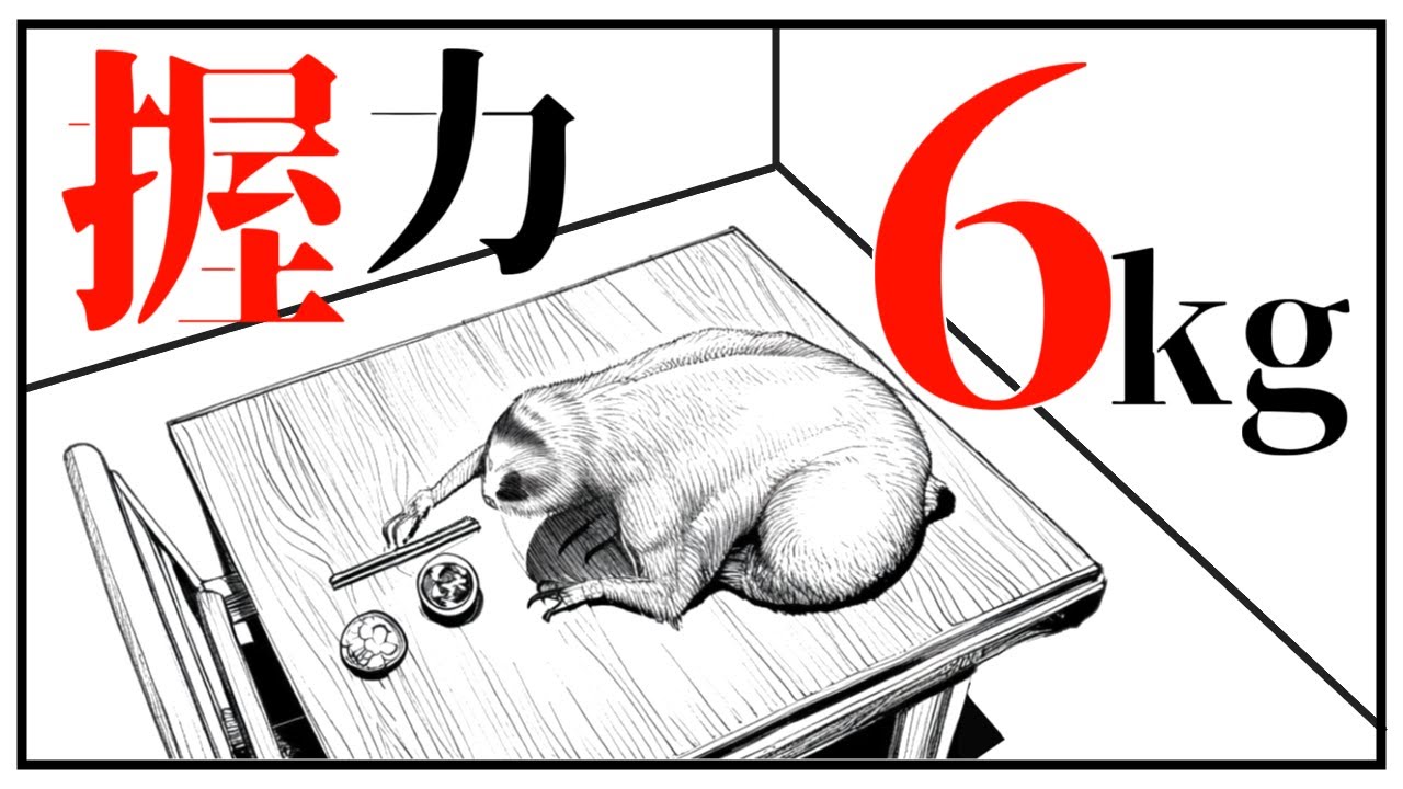 箸すら持てない貧弱な握力で、なぜナマケモノは樹上生活が出来るのか
