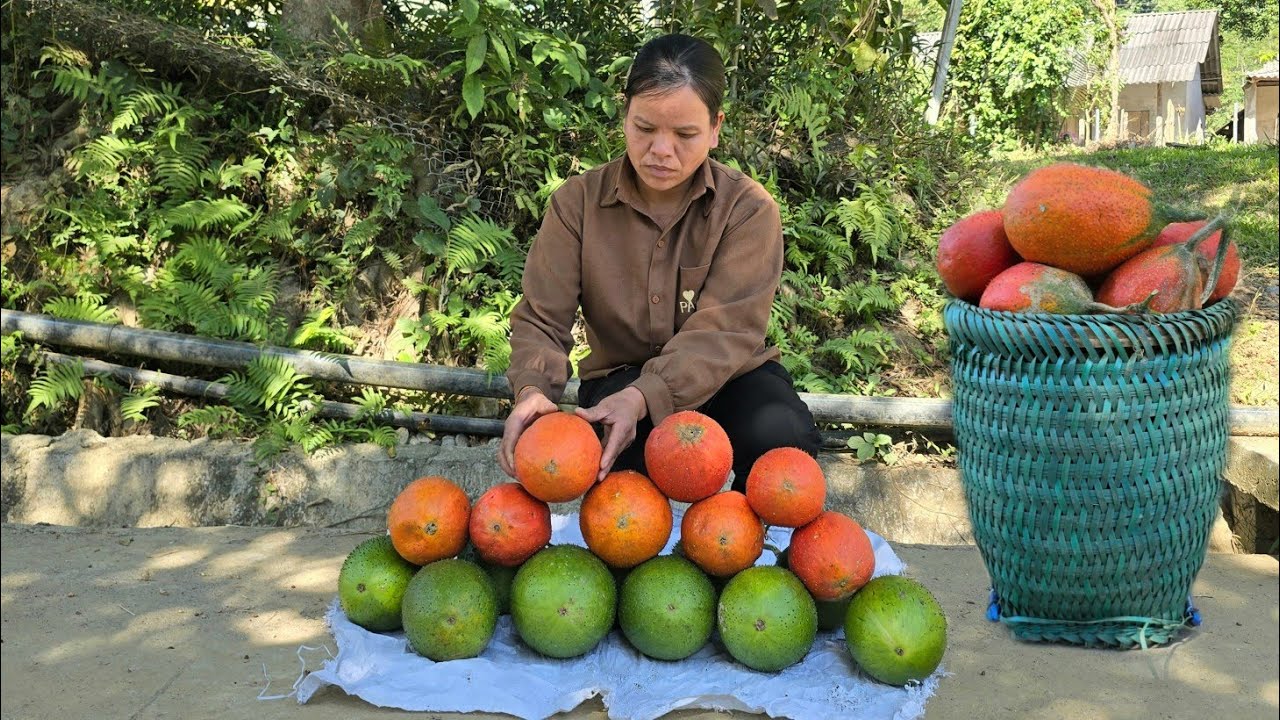 Harvesting Gac Fruit Bring it to the market sell - Farm Breeding , Life of Single Mother /Triệu Ghển