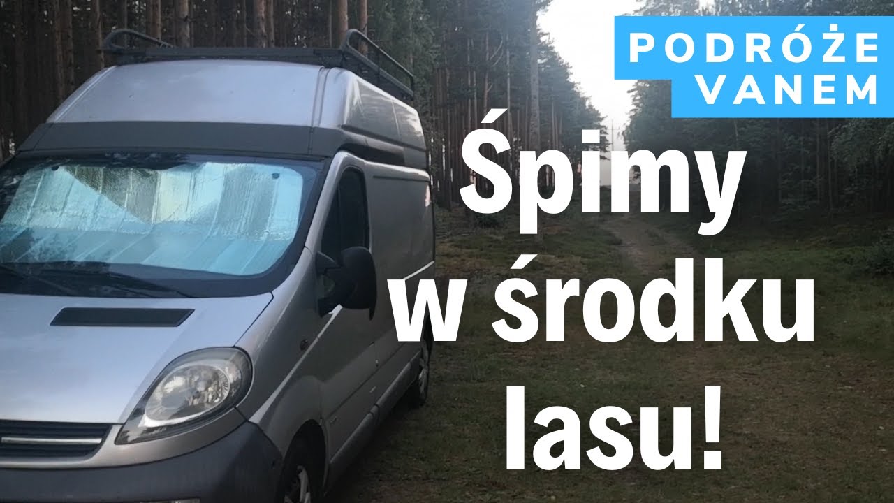 Brodnicki Park Krajobrazowy to super miejsce na spanie w lesie (za darmo)
